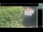 Webcam in Hasloch am Main, 32.1 km entfernt