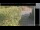 Webcam in Hasloch am Main, 19.5 km