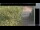 Webcam in Hasloch am Main, 7.5 mi away