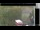 Webcam in Hasloch am Main, 29.4 km
