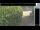 Webcam in Hasloch am Main, 19.9 km