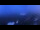 Webcam in Baqueira, 21.5 km