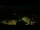 Webcam in Lauenen, 6.4 km