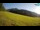 Webcam in Kranjska Gora, 1.2 km