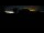 Webcam in St. Märgen, 3.6 mi away