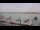 Webcam in Port-en-Bessin-Huppain, 13 mi away
