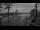 Webcam in Pointe au Baril, 242.6 km entfernt