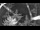 Webcam in Pointe au Baril, 43.3 mi away