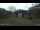Webcam in Arabba, 0.6 mi away