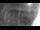 Webcam in Glenborrodale, 50.2 km entfernt
