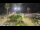 Webcam in Forte dei Marmi, 5.2 km