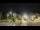 Webcam in Forte dei Marmi, 1.5 km