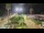 Webcam in Forte dei Marmi, 7.9 km entfernt