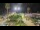Webcam in Forte dei Marmi, 1 km