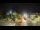 Webcam in Forte dei Marmi, 0.7 km entfernt