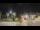 Webcam in Forte dei Marmi, 0.6 mi away