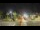 Webcam in Forte dei Marmi, 3.9 mi away