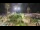 Webcam in Forte dei Marmi, 10 km