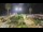 Webcam in Forte dei Marmi, 10.3 km