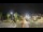 Webcam in Forte dei Marmi, 0.1 mi away