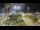 Webcam in Forte dei Marmi, 3 mi away