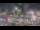 Webcam in Forte dei Marmi, 0.8 mi away
