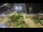 Webcam in Forte dei Marmi, 10 km