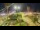 Webcam in Forte dei Marmi, 0.1 mi away