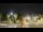 Webcam in Forte dei Marmi, 2 km