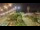 Webcam in Forte dei Marmi, 7.8 km