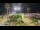 Webcam in Forte dei Marmi, 4.1 km