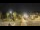 Webcam in Forte dei Marmi, 10.3 km