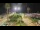 Webcam in Forte dei Marmi, 0.2 km entfernt