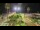 Webcam in Forte dei Marmi, 8.1 km