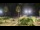 Webcam in Forte dei Marmi, 8.1 km