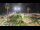Webcam in Forte dei Marmi, 0.1 mi away