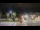 Webcam in Forte dei Marmi, 1.2 km