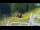 Webcam in Kranjska Gora, 0.6 km