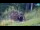 Webcam in Kranjska Gora, 1.4 km
