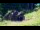 Webcam in Kranjska Gora, 0.2 mi away