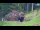 Webcam in Kranjska Gora, 1 km