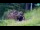 Webcam in Kranjska Gora, 0.4 mi away