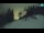 Webcam in Kranjska Gora, 11.4 km entfernt