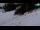 Webcam in Kranjska Gora, 1.1 mi away