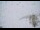 Webcam in Thyon, 2.1 mi away