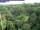 Webcam in Yangambi, 933 mi away