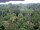 Webcam in Yangambi, 1491.9 km