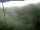 Webcam in Yangambi, 974.4 mi away