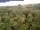 Webcam in Yangambi, 1389.4 km