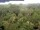 Webcam in Yangambi, 536.1 mi away